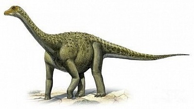 Dino