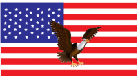 Help the American Eagle protect us from all our Enemies