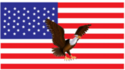 Help the American Eagle protect us from all our Enemies